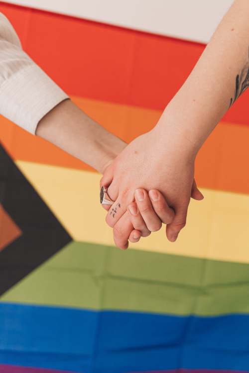 2 people holding hands with trans flag