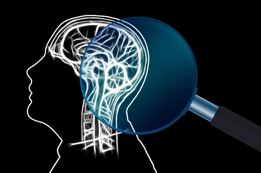 Brain and magnifying glass.